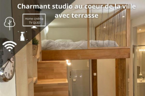 Charmant studio avec terrasse au cœur de Nancy